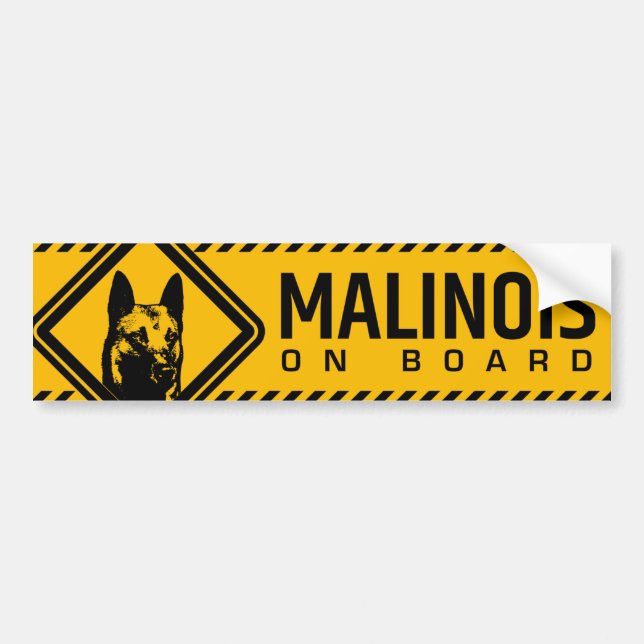 Belgisk herde - Malinois bildekal (Framsidan)