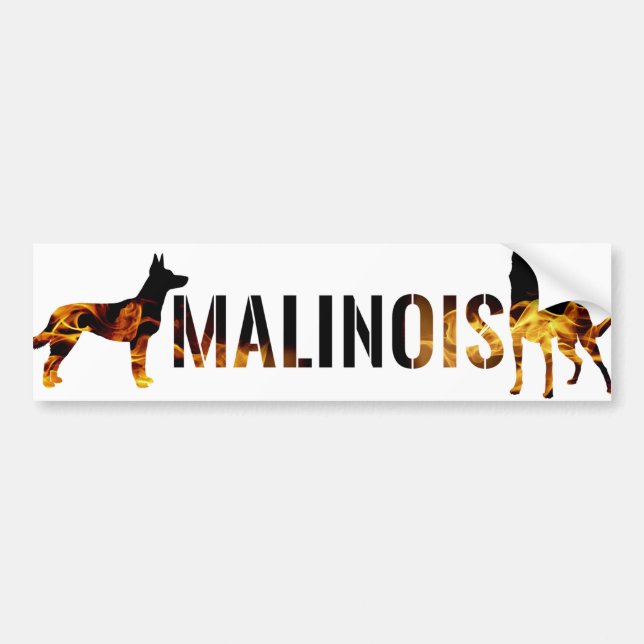 Belgisk herde - Malinois bildekal (Framsidan)