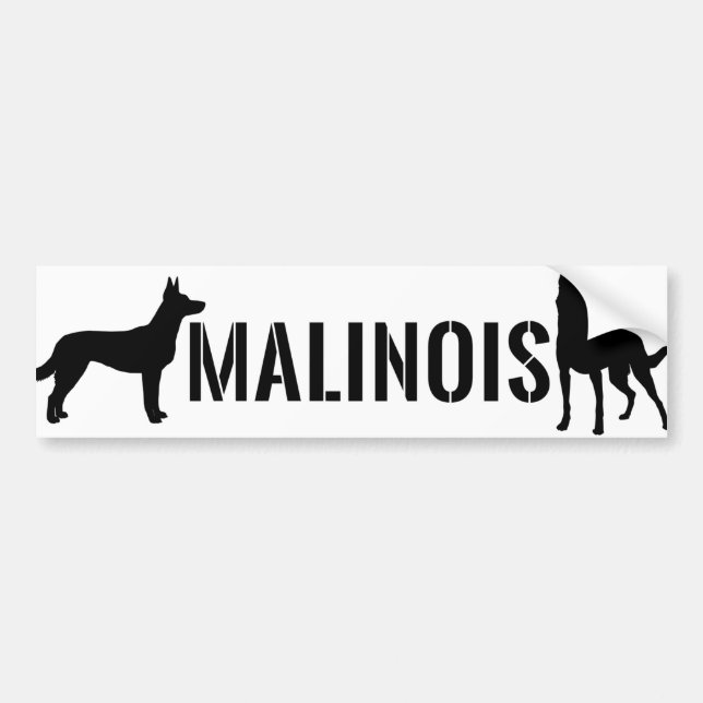 Belgisk herde - Malinois bildekal (Framsidan)