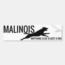 Belgisk herde - Malinois bildekal