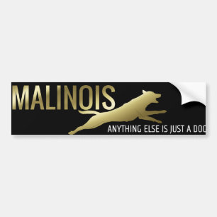 Belgisk herde - Malinois bildekal