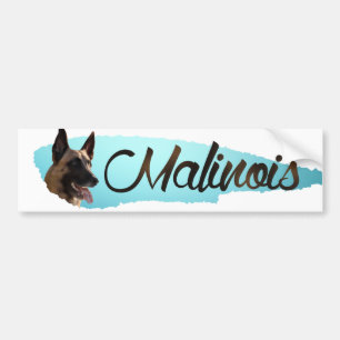 Belgisk herde - Malinois bildekal