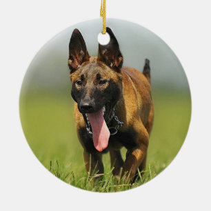 Belgisk herdehund julgransprydnad keramik