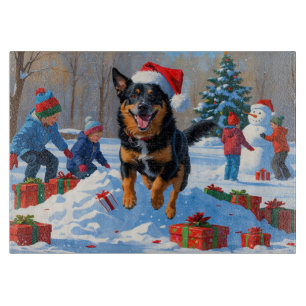 Belgisk Malinoi Jul Festiv Snö Scen