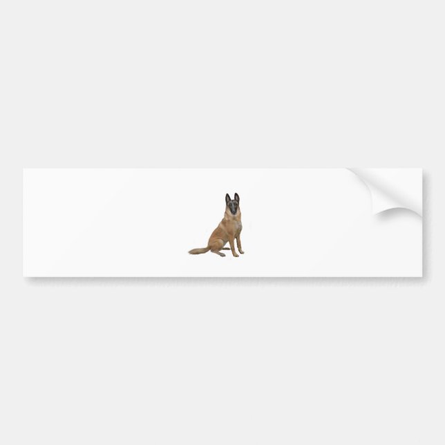 Belgisk Malinois (A) Bildekal (Framsidan)