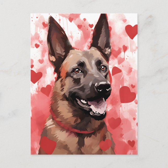 Belgisk Malinois Alla hjärtans dag Vykort (Framsida)