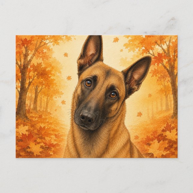 Belgisk Malinois Höstskog Hund Vykort (Framsida)