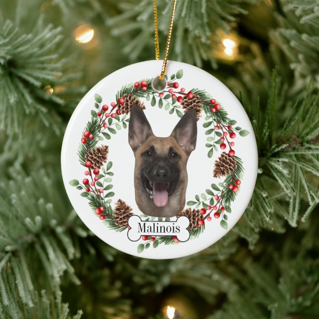 Belgisk Malinois hund Personlig Husdjur Ornament (Träd)