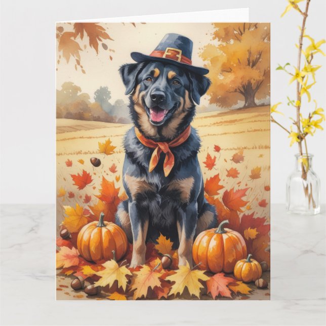 Belgisk Malinois i höstlöv Thanksgiving-konst Kort (Gul blomma)