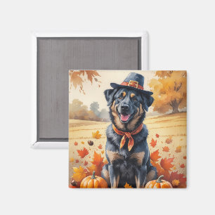 Belgisk Malinois i höstlöv Thanksgiving Konst Magnet