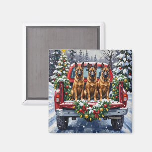 Belgisk Malinois Jul Röda Lastbil Holiday Magnet