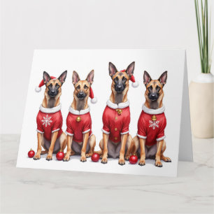 Belgisk Malinois julklänning tomtehatt Kort
