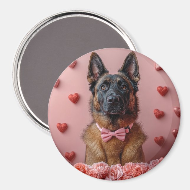 Belgisk Malinois med rosor - Alla hjärtans dag  Magnet (Front/Back)