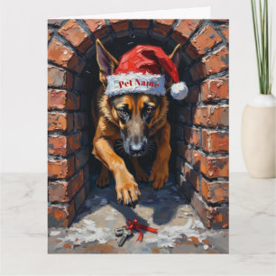 Belgisk Malinois Sottningsuppdragshatt Kort