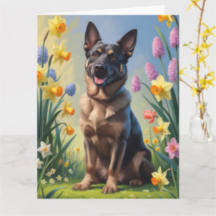 Belgisk Malinois Vårblommor Målning Kort