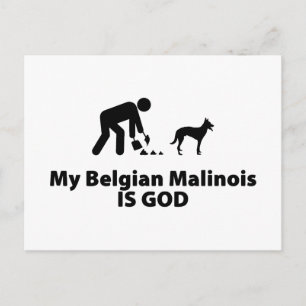 Belgisk Malinois Vykort