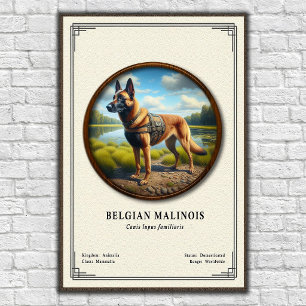 Belgisk Malinois Zoologisk Serie Poster
