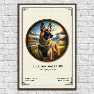Belgisk Malinois Zoologisk Serie Poster