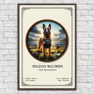 Belgisk Malinois Zoologisk Serie Poster