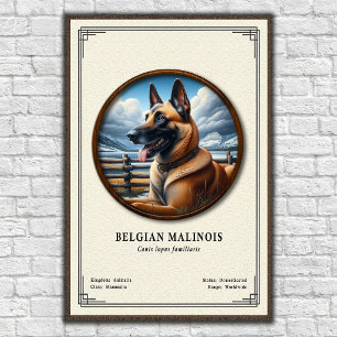 Belgisk Malinois Zoologisk Serie Poster