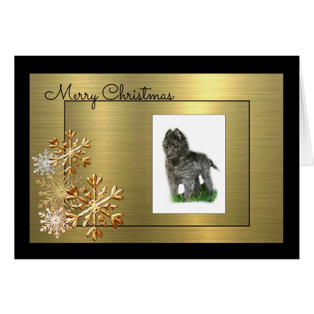 Belgisk Sheepdog OBS Kort (Framsidan Horizontal)