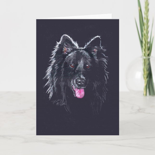 Belgisk Sheepdog på svart Kort (Framsida)