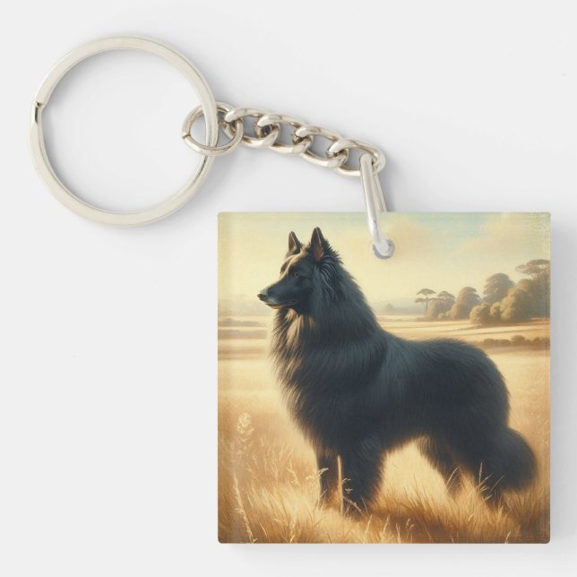 Belgisk vallhund (Framsidan)