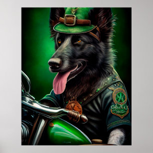 Belgisk vallhund cyklar på St. Patrick's Day Poster
