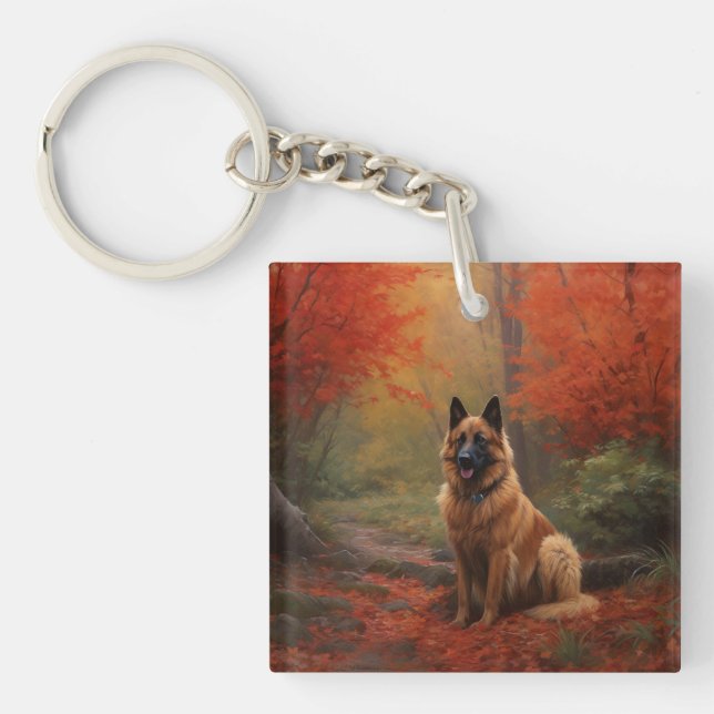 Belgisk Vallhund i Höstlöv Fall Inspirerar (Framsidan)