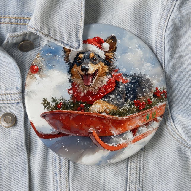 Belgisk vallhund i släde Låt det snöa jul Knapp (In Situ)