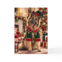Belgisk Vallhund Julkort - Tomtens Alv