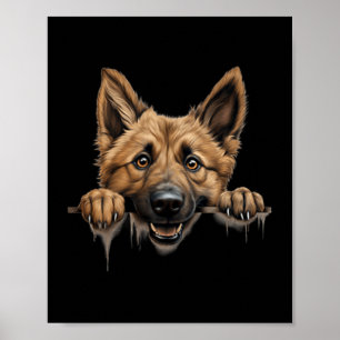 Belgisk vallhund Laekenois hund mamma pappa kikand Poster