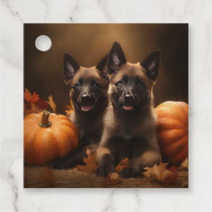 Belgisk vallhund-valp Höstens förtjusning Pumpa Gåvor Etiketter