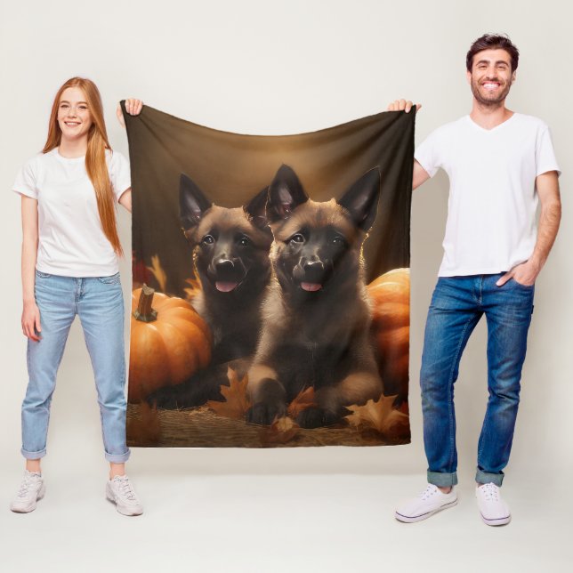 Belgisk Vallhund-valp Höstens Glädje Pumpa Fleecefilt (På plats)