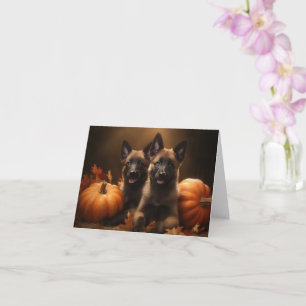 Belgisk Vallhund-valp Höstens Glädje Pumpa Kort