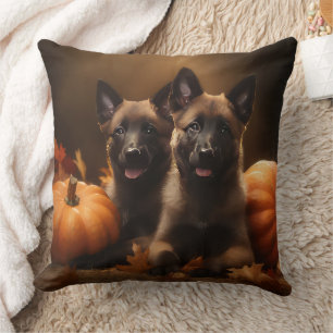 Belgisk Vallhund-valp Höstens Glädje Pumpa Kudde