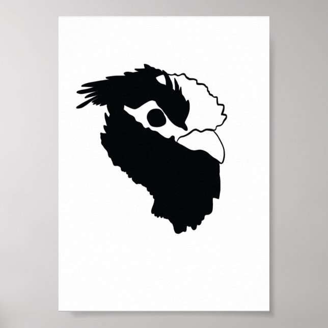Belgisk Watermaal Poster (Framsidan)