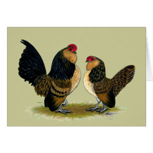 Belgiska d'Anvers Bantams: Quail Hälsningskort