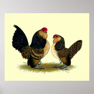 Belgiska d'Anvers Bantams: Quail Poster
