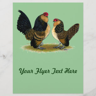 Belgiska d'Anvers Bantams: Quail Reklamblad