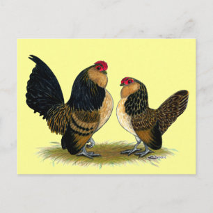 Belgiska d'Anvers Bantams: Quail Vykort