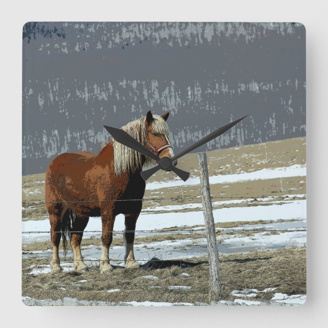 Belgiska draghästen i Paddock Wall Clock Fyrkantig Klocka (Framsida)