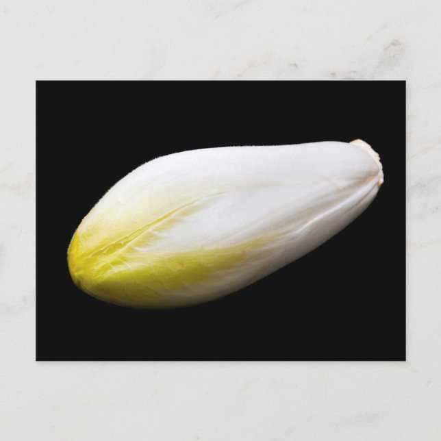 Belgiska endive vykort (Framsida)