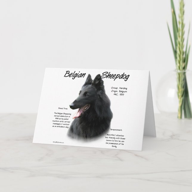 Belgiska fårhundshistorik; allt om fårhundar helgkort (Framsida)