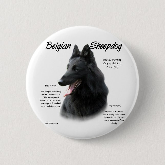 Belgiska fårhundshistorik; allt om fårhundar knapp (Framsida)