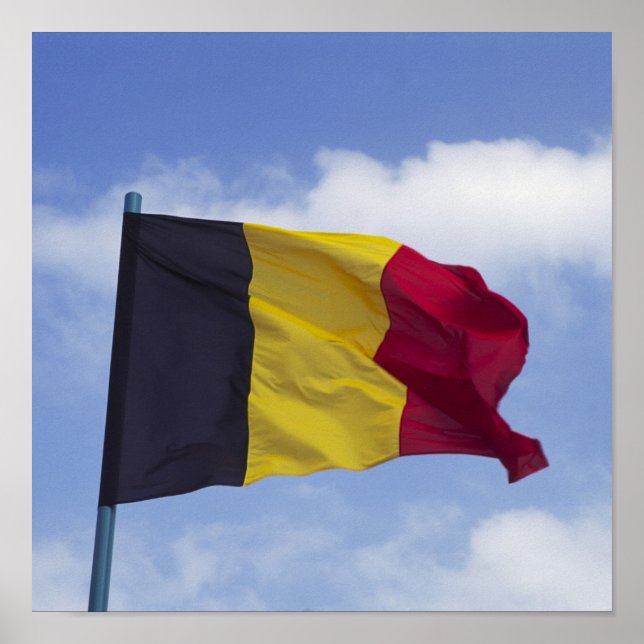Belgiska flagga RF) Poster (Framsidan)