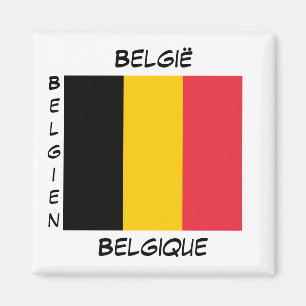 Belgiska Flagga Språk i Belgien Magnet