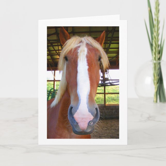 Belgiska hälsningkort kort (Framsida)