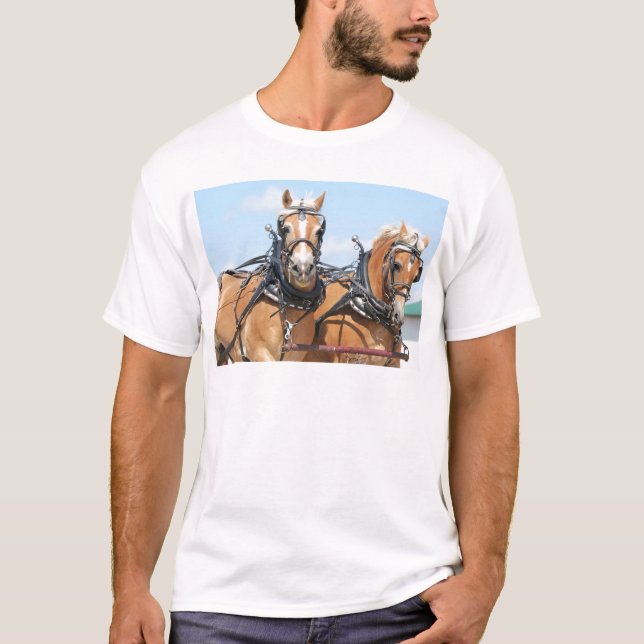 Belgiska hästar tee shirt (Framsida)