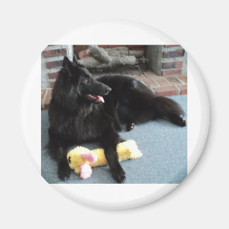 Belgiska herde av Fireplace Magnet